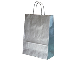 Saco Alça Retorcida 18x8x24 Prata