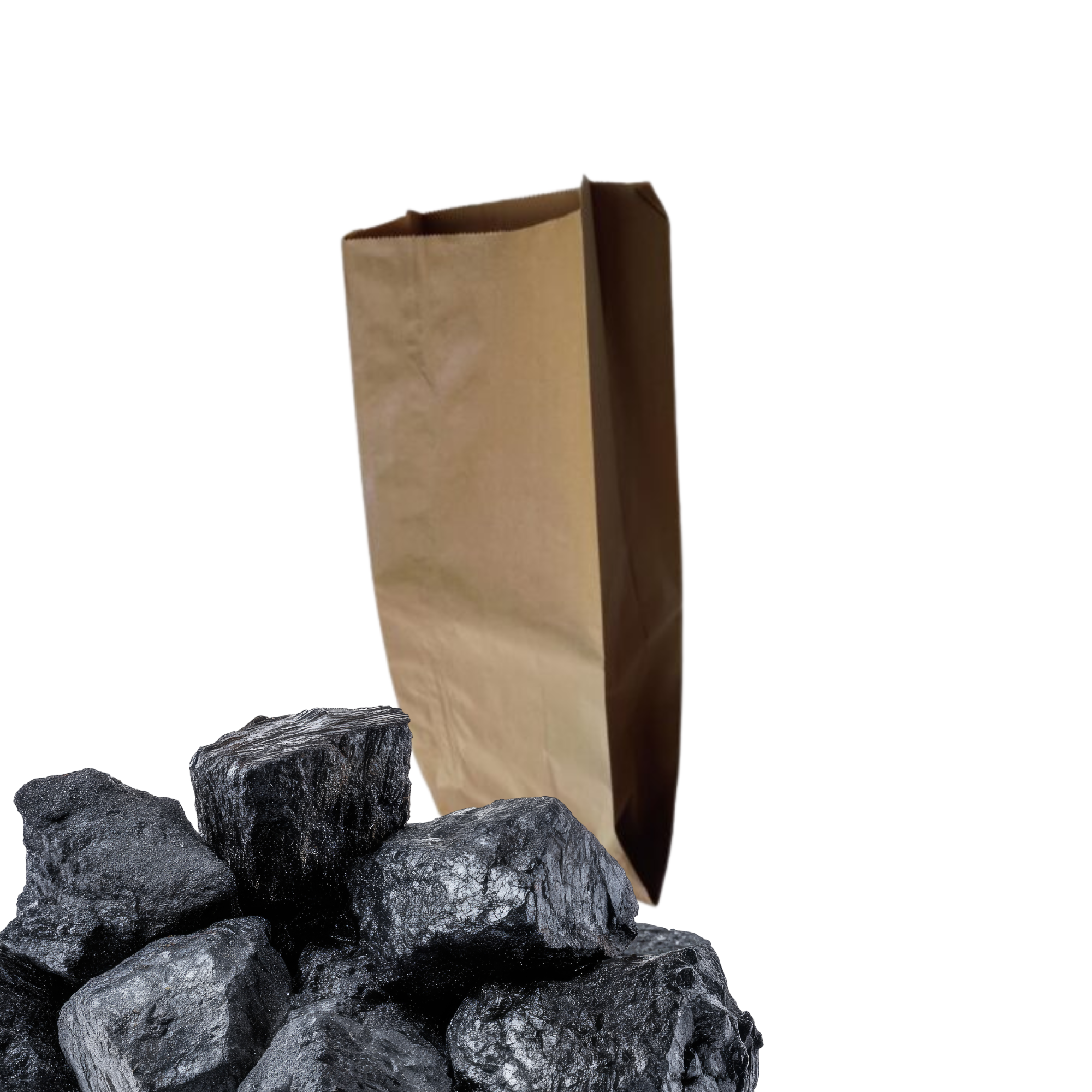 Saco Carvão 3kg sem impressão